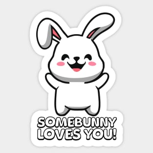 Somebunny Loves You! Cute Bunny Cartoon Sticker